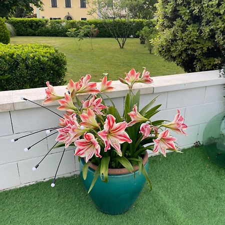 Galleno House Apartment Екстериор снимка