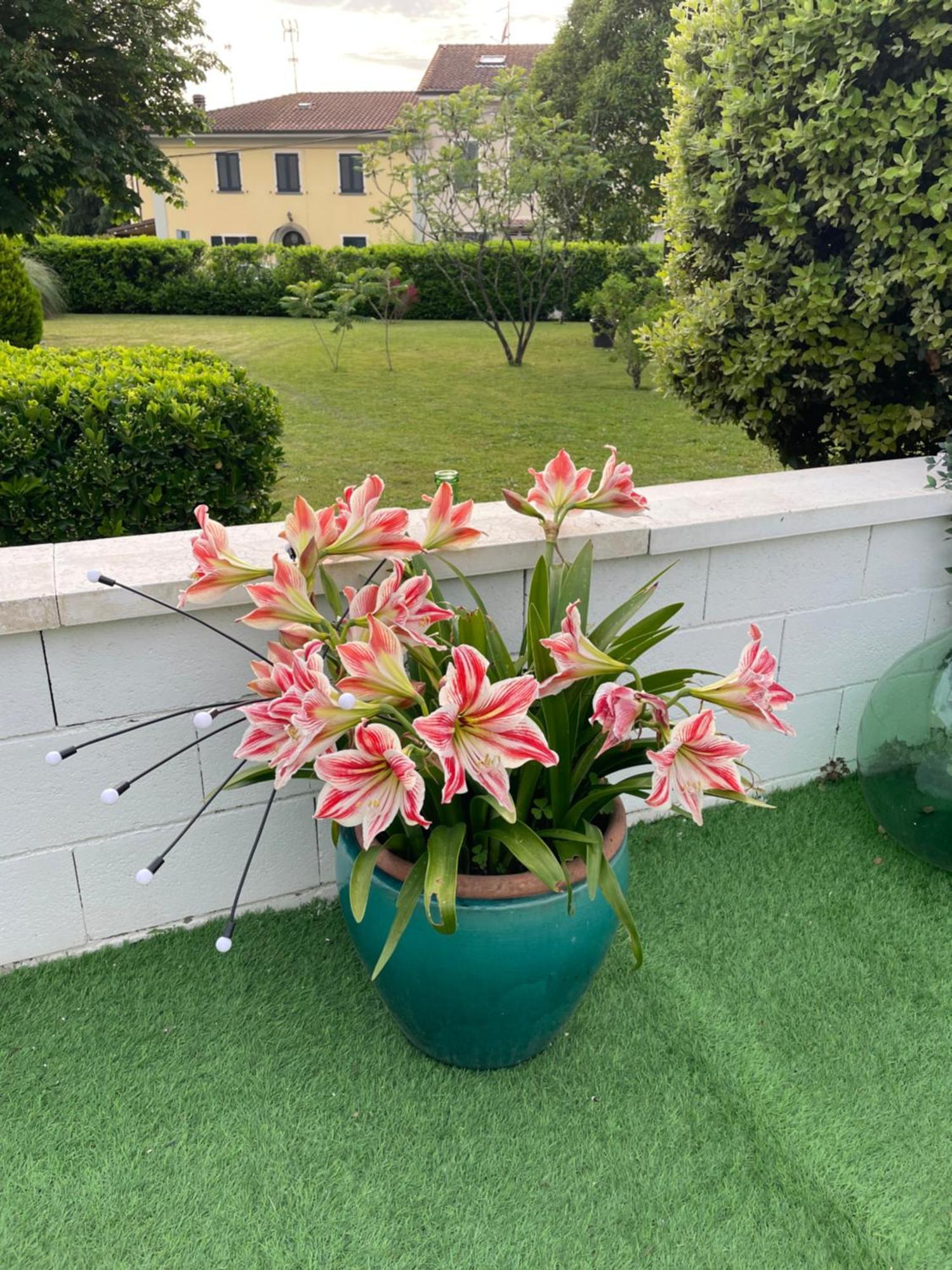 Galleno House Apartment Екстериор снимка